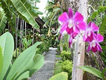 Bumi Ayu Bungalow Orchid Garden